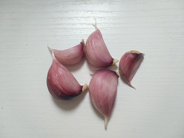 大蒜种子