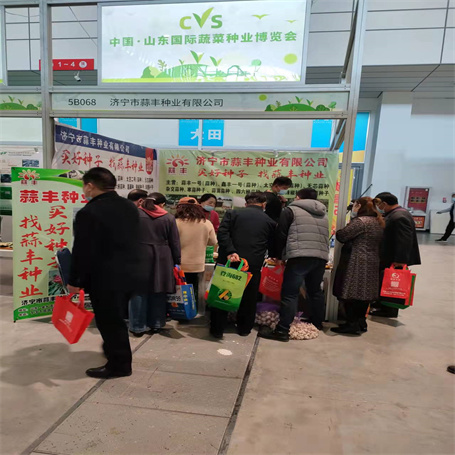 鑫丰一号