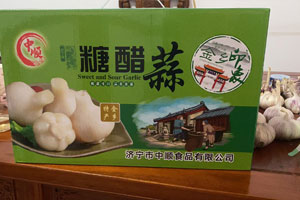 大蒜种子怎样种才能发芽？