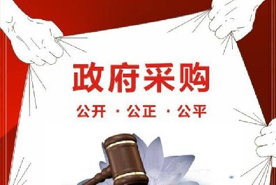 <b>政府采购招标代理</b>