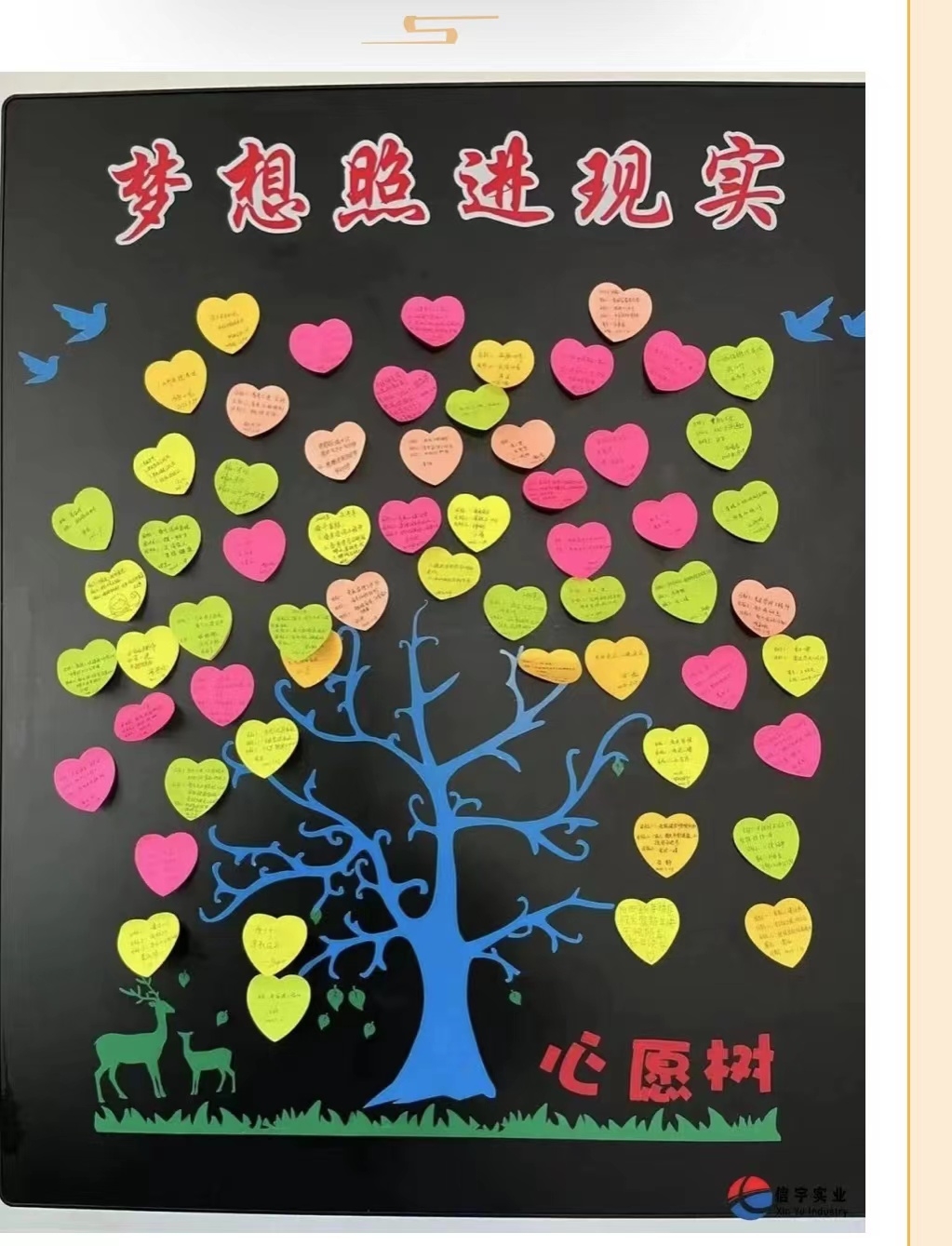 信宇腾远2023年“我与信宇共成长“主题分享活动圆满召开