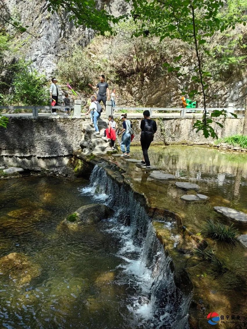 信宇腾远春日团建：峡谷春秦风楚韵，信宇人聚力凝心